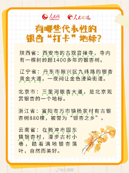 拍照超级出片的秋季限定银杏树，你了解多少？