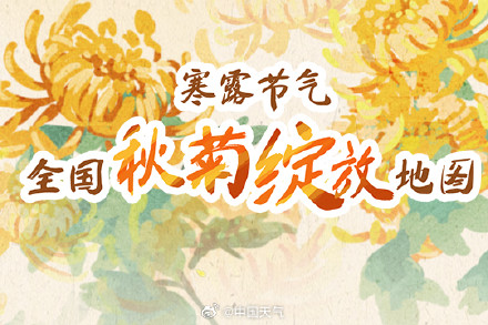 节气物候图鉴：寒露 秋色正浓 全国秋菊绽放地图 看哪里“菊”势正好