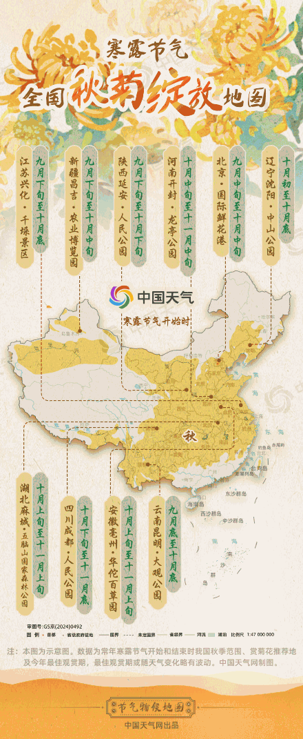 节气物候图鉴：寒露 秋色正浓 全国秋菊绽放地图 看哪里“菊”势正好