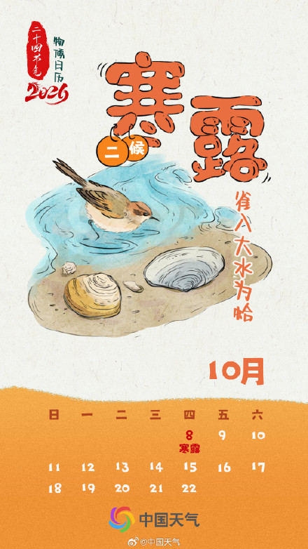 节气物候图鉴：寒露 秋色正浓 全国秋菊绽放地图 看哪里“菊”势正好
