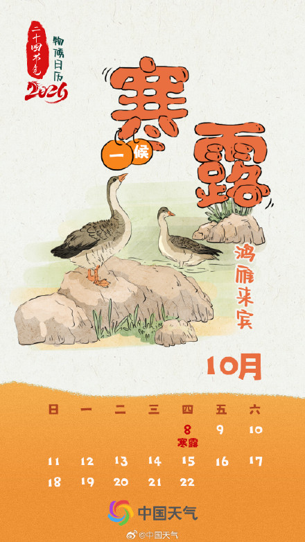 节气物候图鉴：寒露 秋色正浓 全国秋菊绽放地图 看哪里“菊”势正好